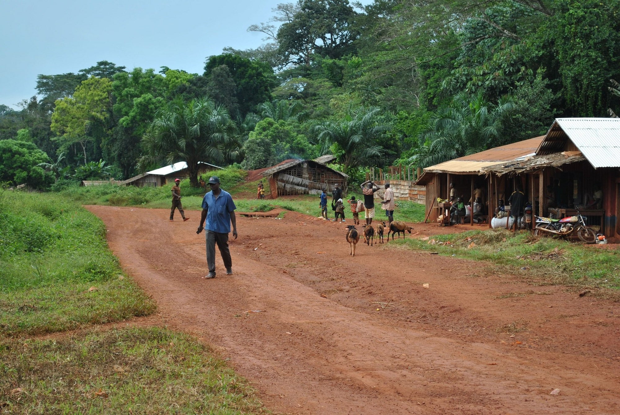 Notes from the Field: How Health for All Mission Illuminated Cameroon-LuminAID