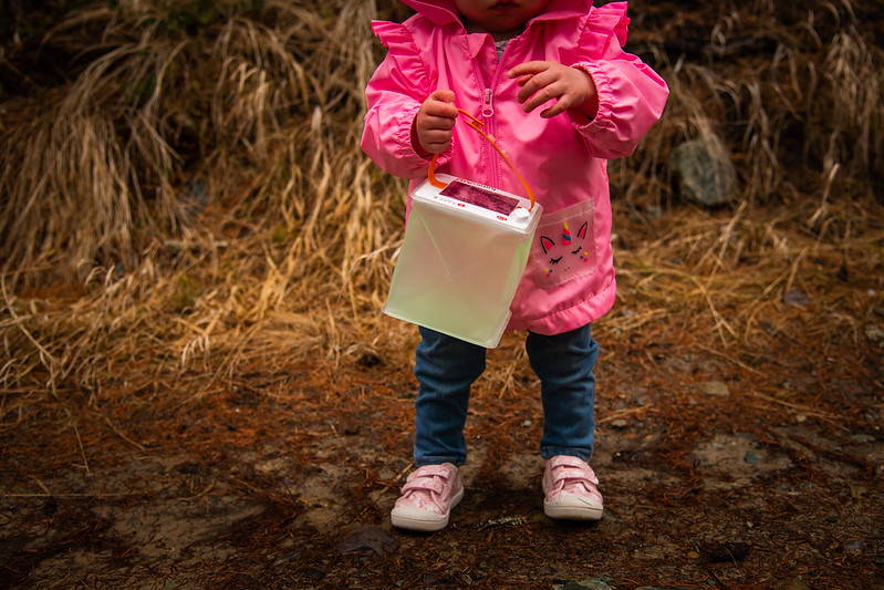 Camping with Kids? Follow These Tips