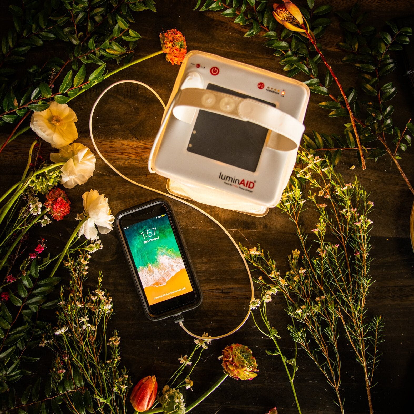 Firefly power lanterns light the area and charges a phone.