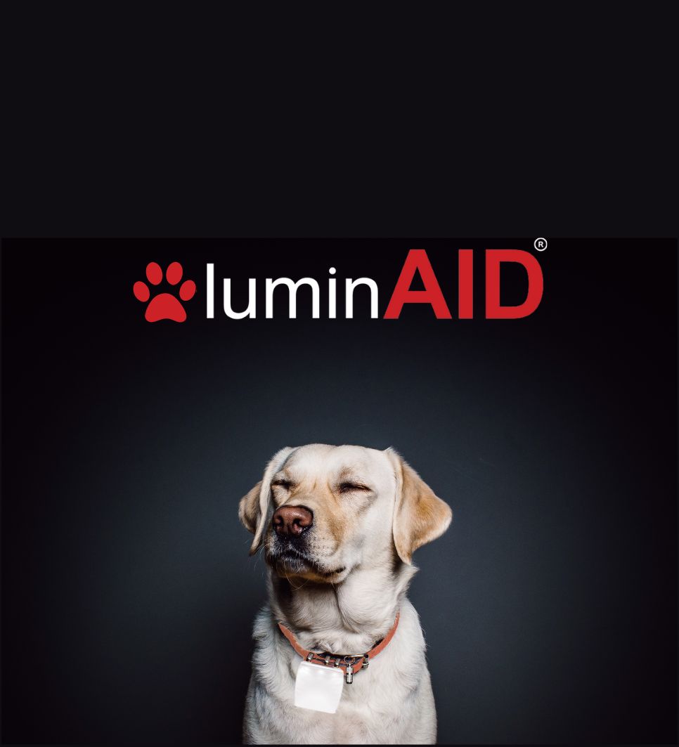 Teaser image for the new BarkLite by LuminAID. Includes a dog with the product and the LuminAID logo with a paw print design.