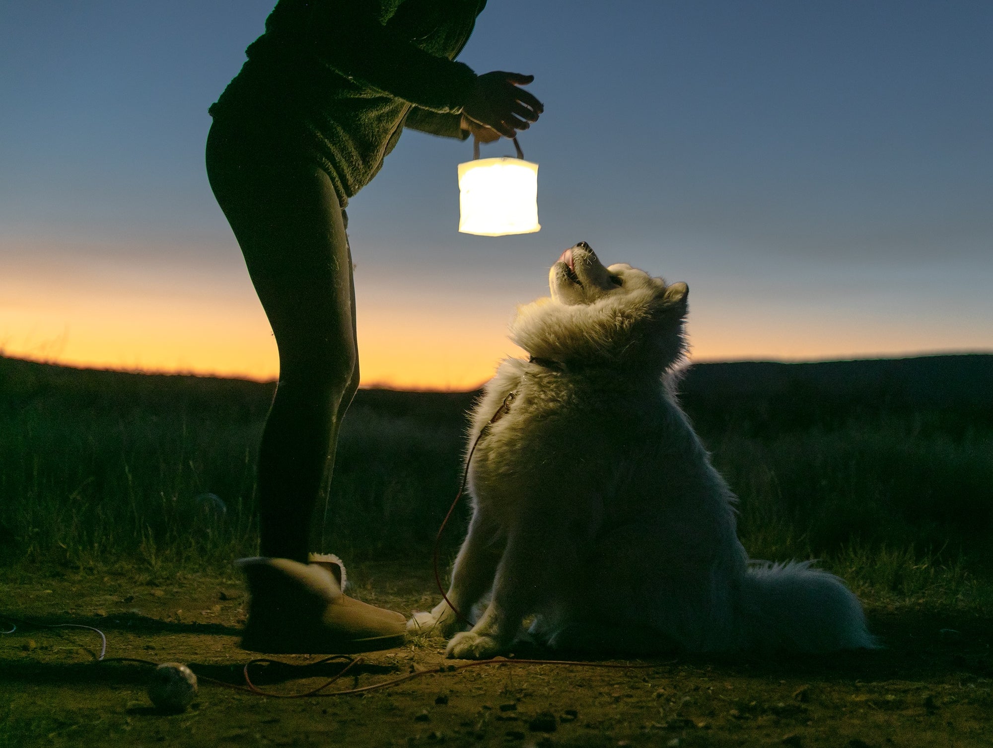 Dog admiring LuminAID lantern at sunset. Source: Nick Zupancich