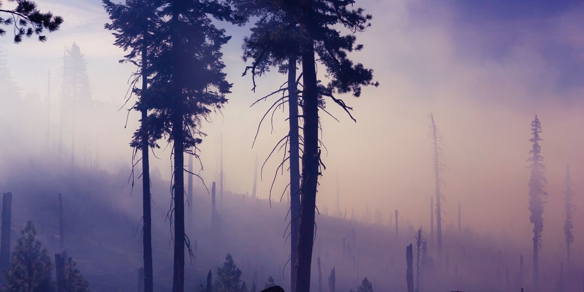 How to Prepare for a Wildfire