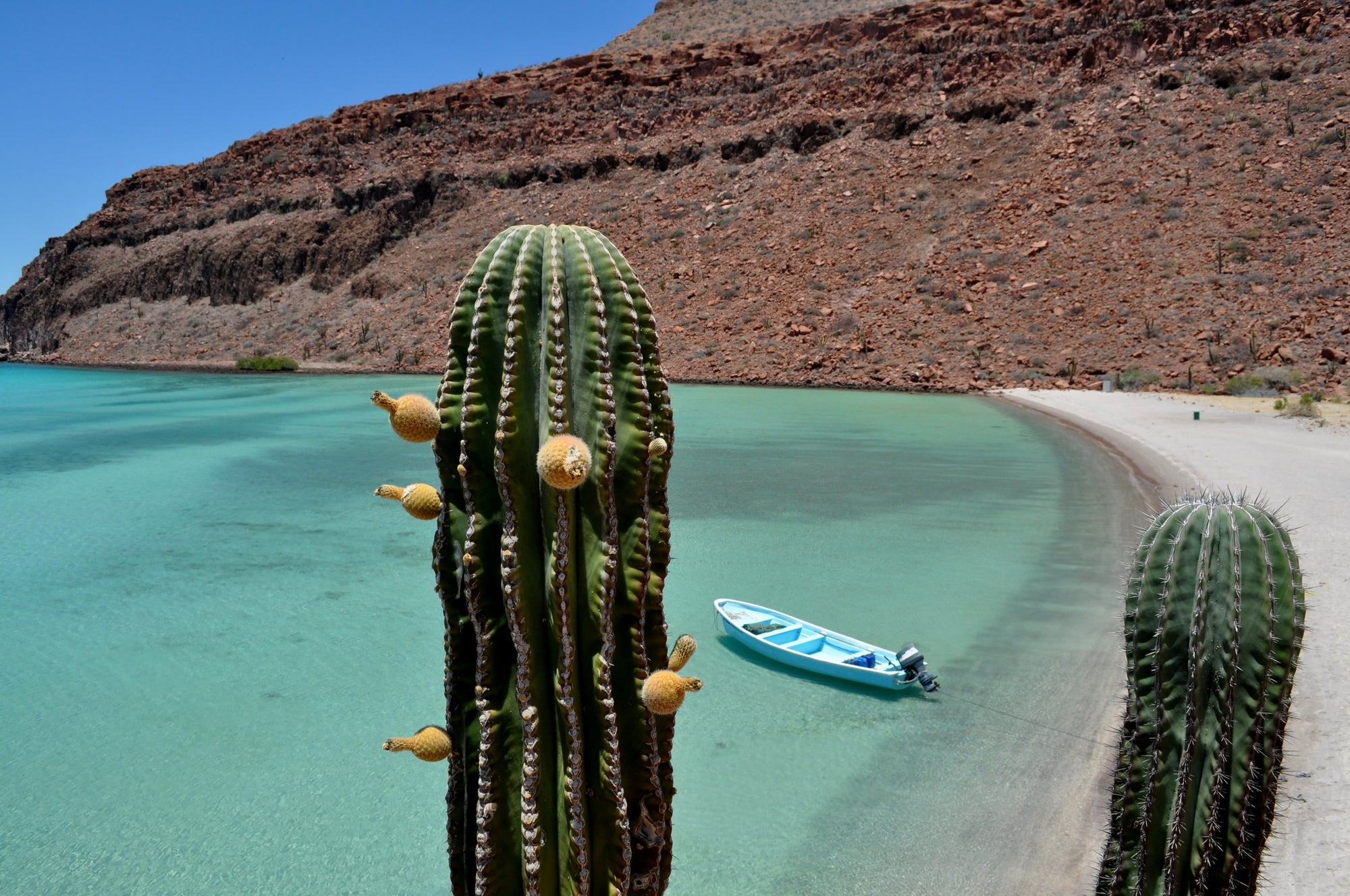 Outdoor Journal: Baja for the Holidays-LuminAID