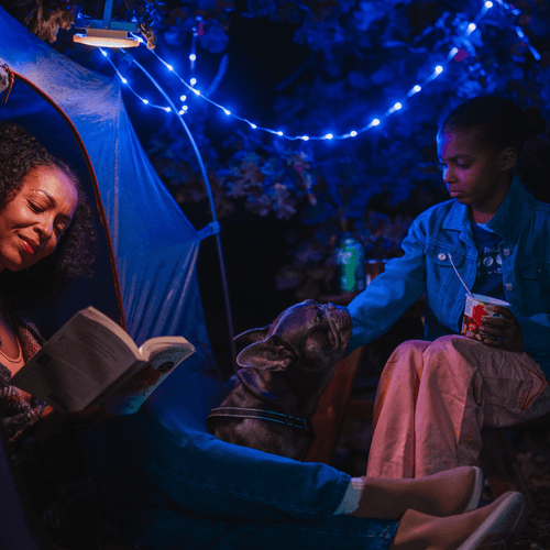 Solar String Light 4-Pack