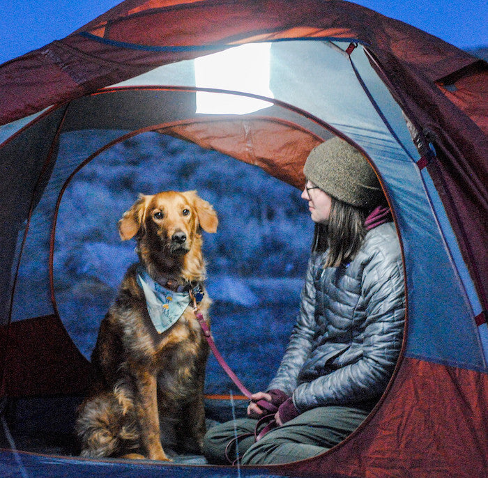 Woman and dog in a tent